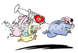 反哺漫画,揭示家庭教育的温馨与反思